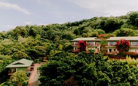 Ficus Sunset Suites